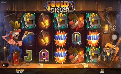 Gold Digger Slot Wild