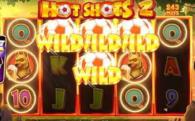 Hot Shots 2 Wild Symbol